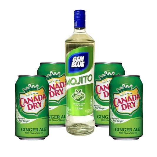 GSM Blue Mojito 1L with Canada Dry Ginger Ale 355ml 4-pack
